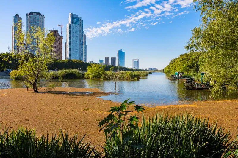 Buenos Aires Rascacielos de Puerto Madero y Reserva Ecológica de Buenos Aires