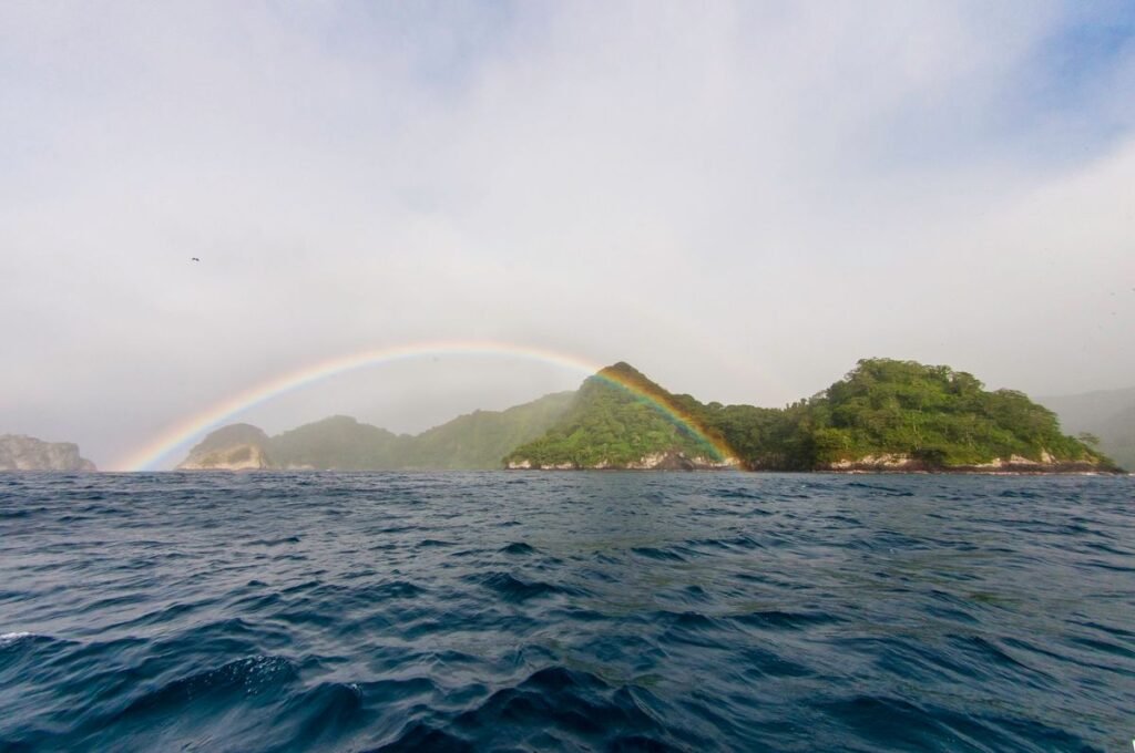 Los 5 mejores sitios de buceo en Costa Rica