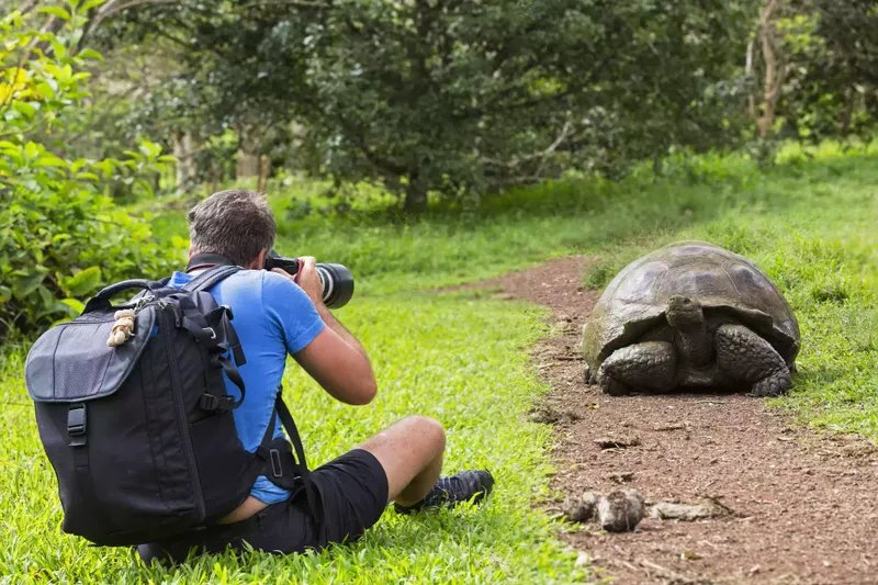Un hombre fotografía una tortuga gigante de las Galápagos