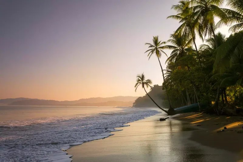 Colorida puesta de sol en una playa con palmeras, Bahía Drake, Península de Osa, Costa Rica
