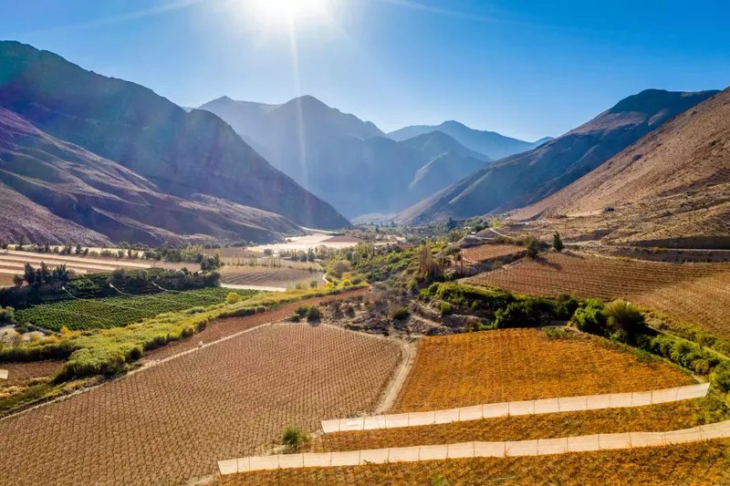 Campos y zonas de cultivo de uva para la producción de pisco en las montañas del Valle del Pisco de Elqui, Coquimbo, Chile.