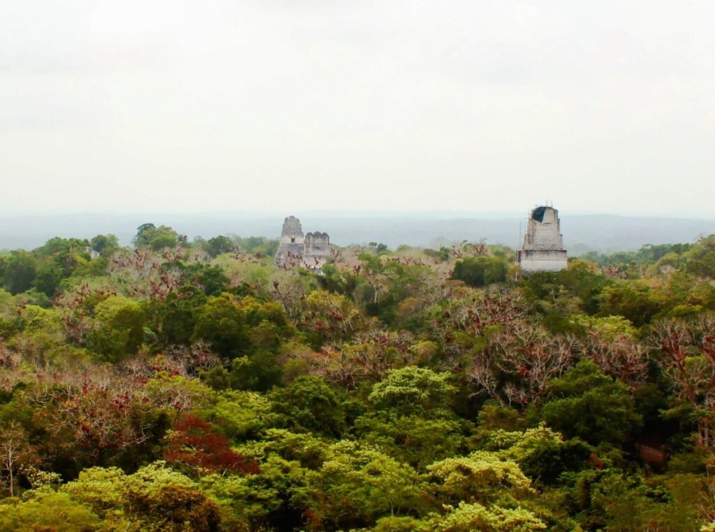 Parque Nacional Tikal: La guía completa
