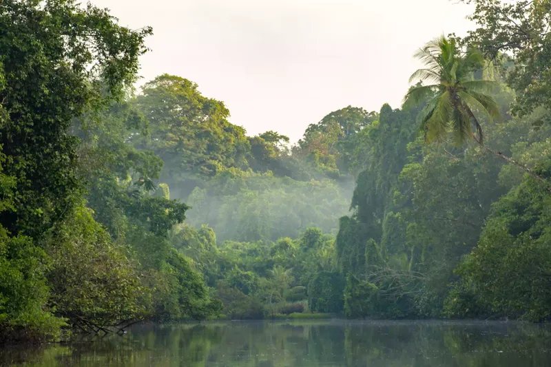 Selva tropical de Costa Rica