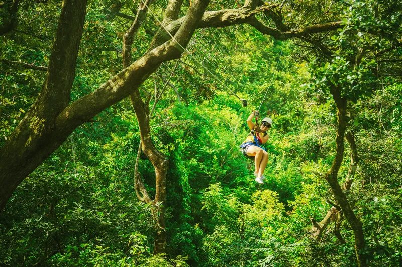 Tirolina en las copas de los árboles de Costa Rica