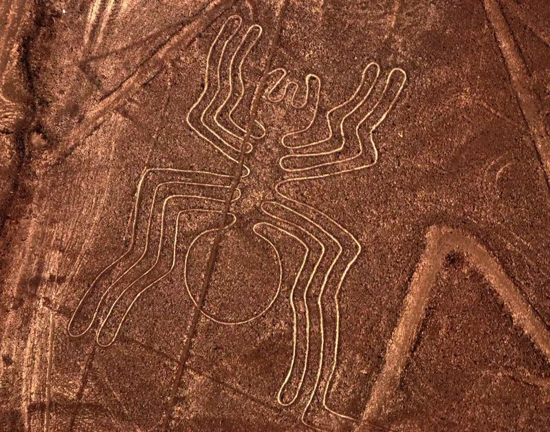 Lineas De Nazca