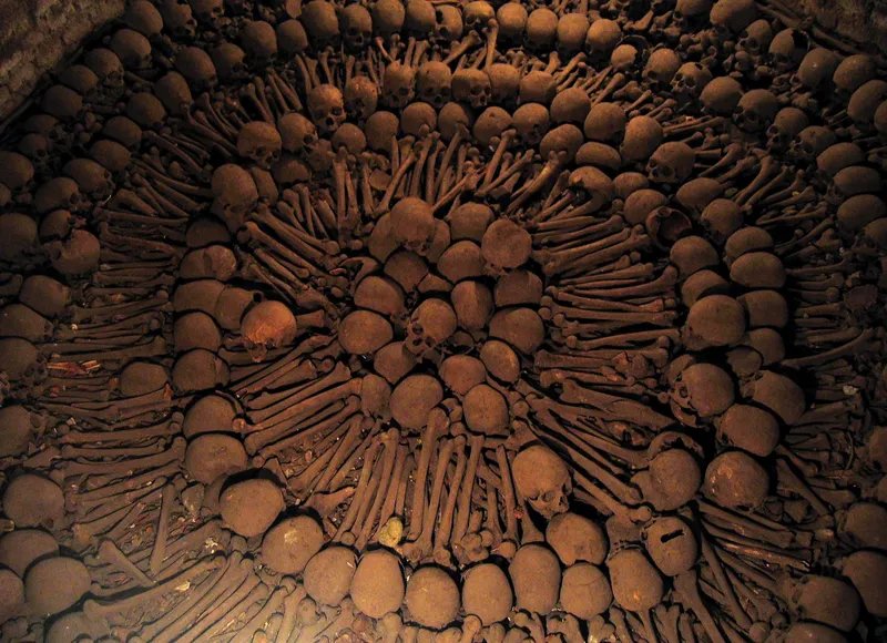 Cráneos y huesos se disponen en las catacumbas bajo el monasterio de San Francisco
