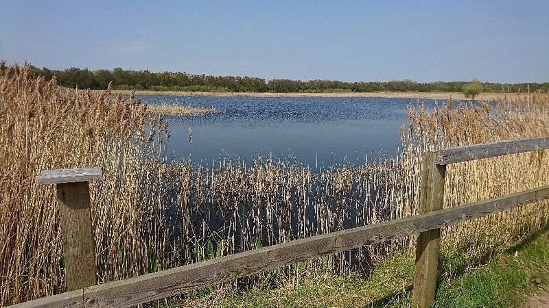 Potteric Carr Nature Reserve