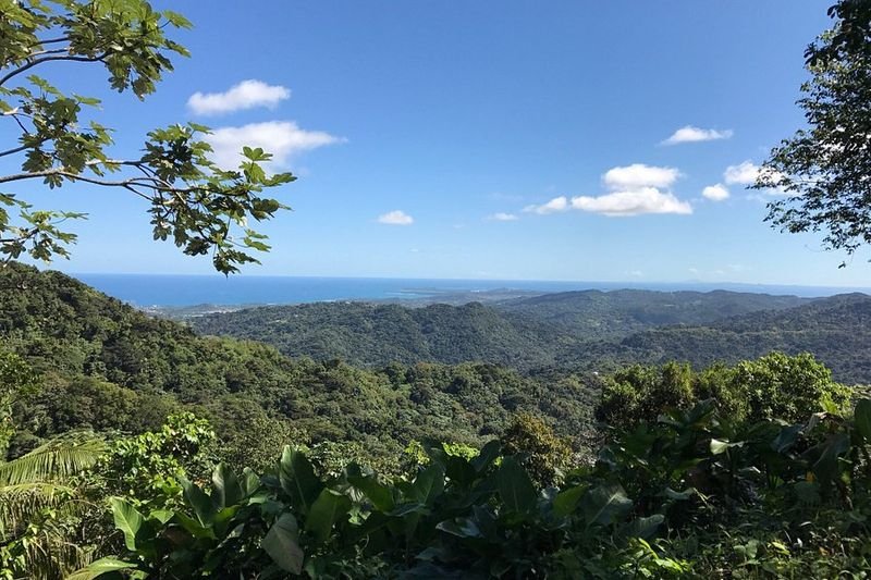 El Yunque Peak