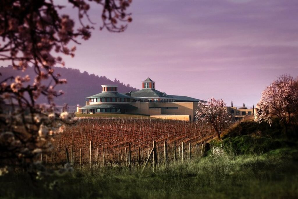 Descubre la ruta de bodegas y viñedos en Briones, una experiencia única en La Rioja