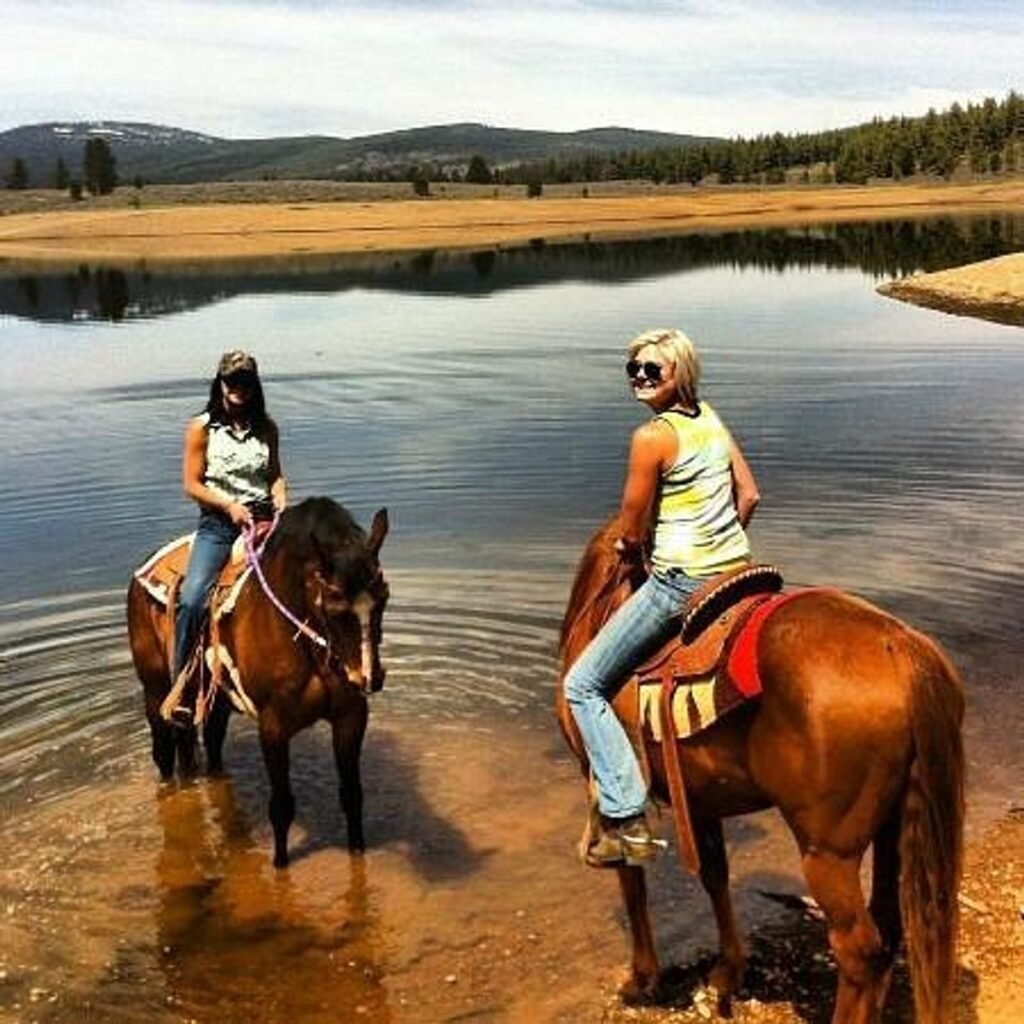 Descubre la belleza de Lake Tahoe a caballo con nuestros tours