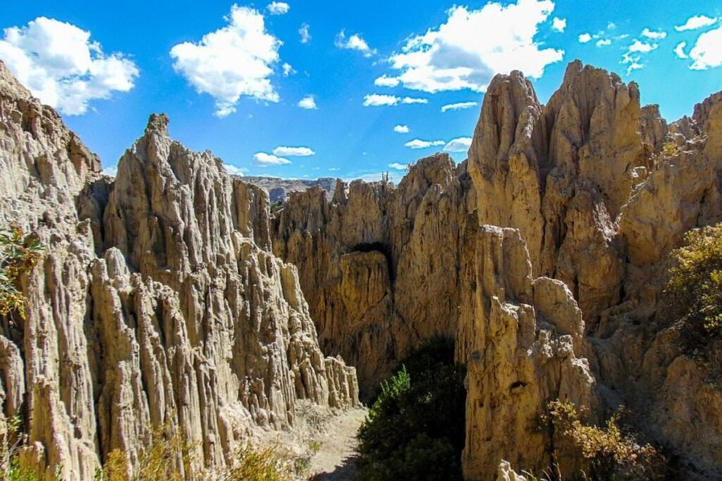 Descubre la belleza natural de La Paz: una guía de sus mejores parques y atracciones.