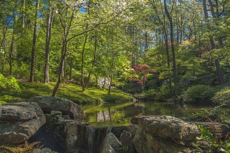 Garvan Woodland Gardens