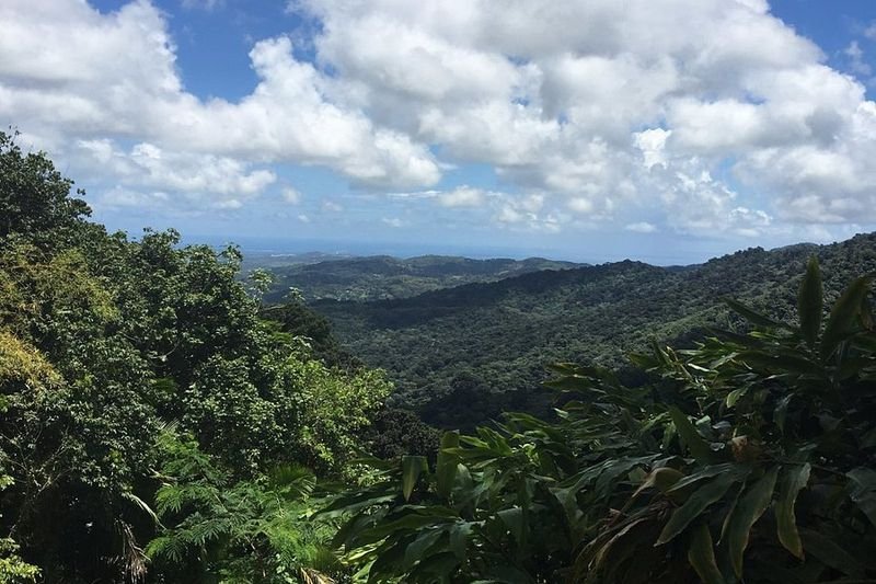 El Yunque National Forest