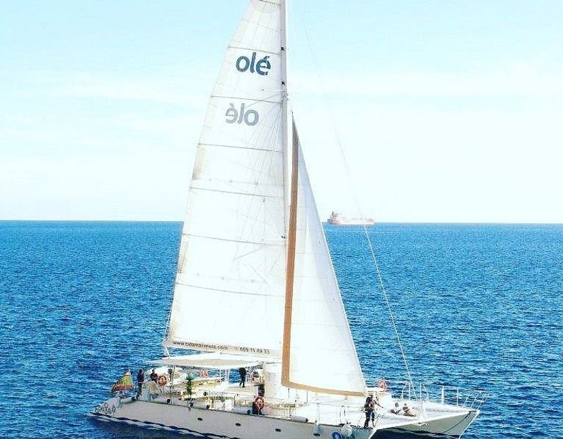 Catamarán Olé