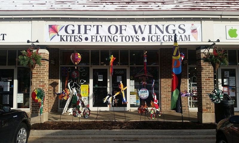 Gift of Wings