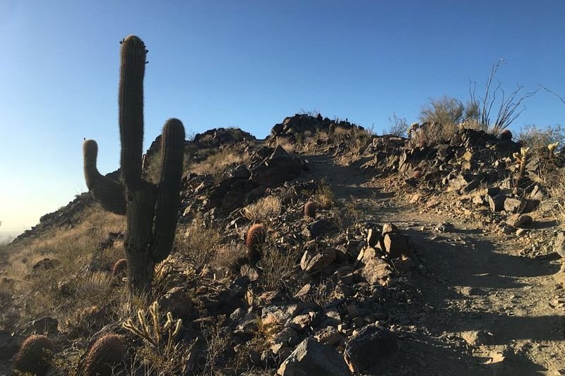 Skyline Regional Park