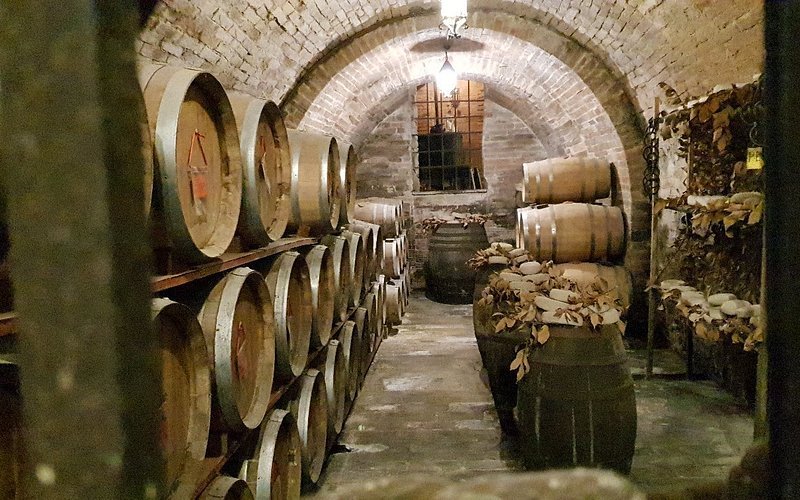 Descubre la magia de las bodegas y viñedos en Toscana