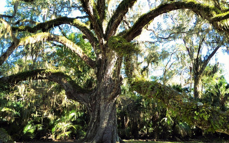 Bulow Creek State Park