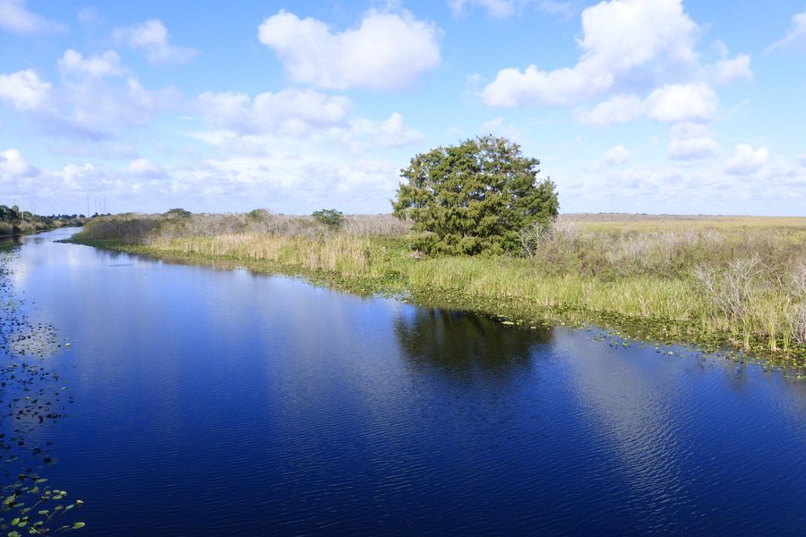 Everglades and Francis S. Taylor Wildlife Management Area