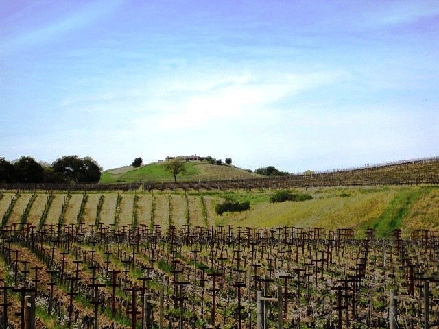 Hendry Ranch Wines