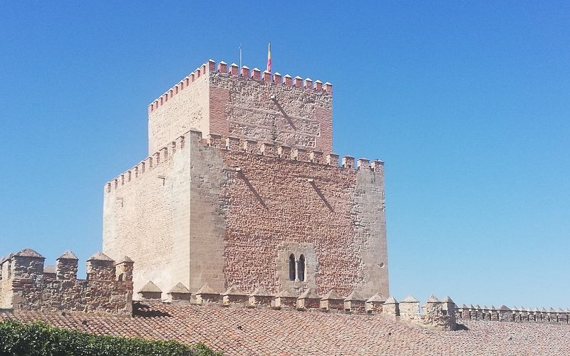 Castillo Alcázar de Enrique II