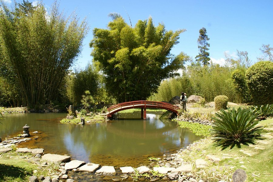 Jardin Botanico Lankester