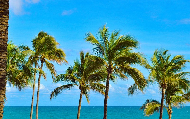 Descubre los mejores parques y atracciones naturales de Fort Lauderdale