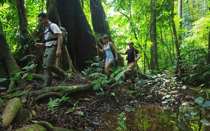 Parque Nacional Piedras Blancas