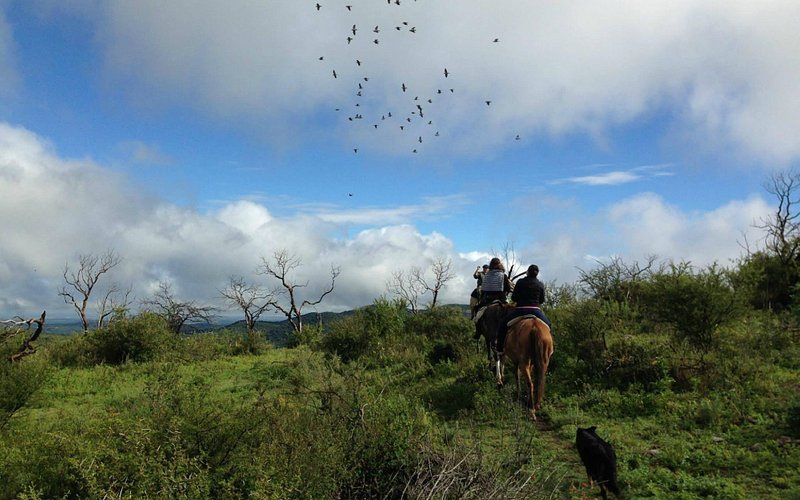 Descubre la belleza de la Provincia de Córdoba a caballo