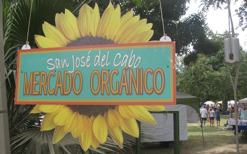 San José del Cabo Mercado Orgánico