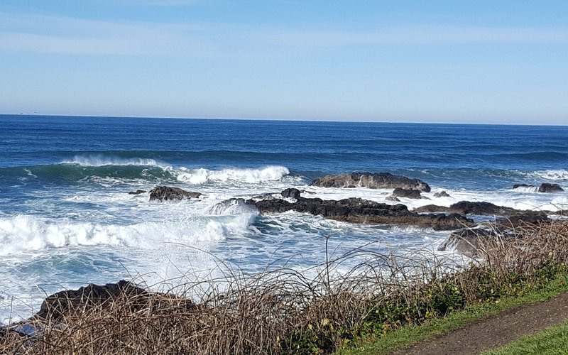 Yachats State Park