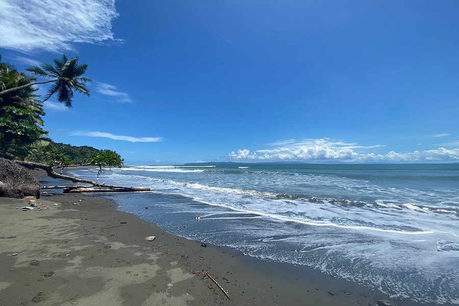 Surf With Amigas - Costa Rica