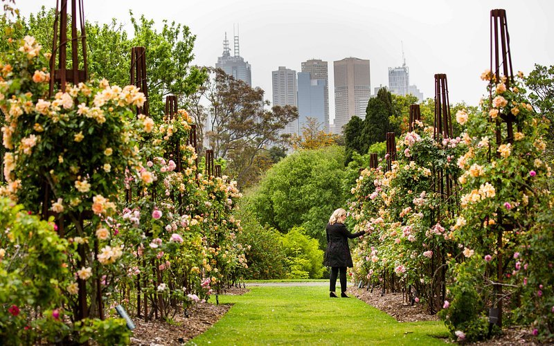Jardín Botánico Real de Melbourne