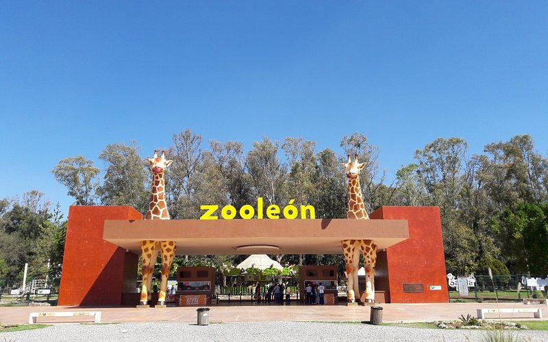 Zoológico León